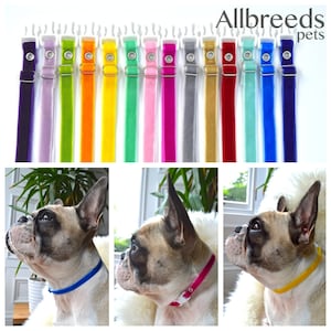 Allbreeds Puppy ID Whelping Collars Velvet Dog breeding kit