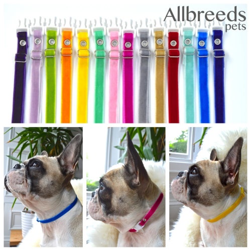 Adjustable Whelping ID Puppy Collar Newborn Puppy Collars Etsy