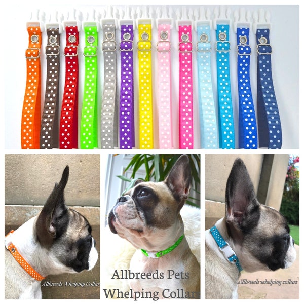 Allbreeds puppy whelping ID band collars