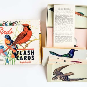 Op de afbeelding: Een vintage Teach-Me About Birds flitskaarten set in een vierkante doos met illustraties van een rode kardinaal, een blauwe vogel en een wielewaal. De set bevat een stapel rechthoekige kaarten met gedetailleerde vogelillustraties en tekst.