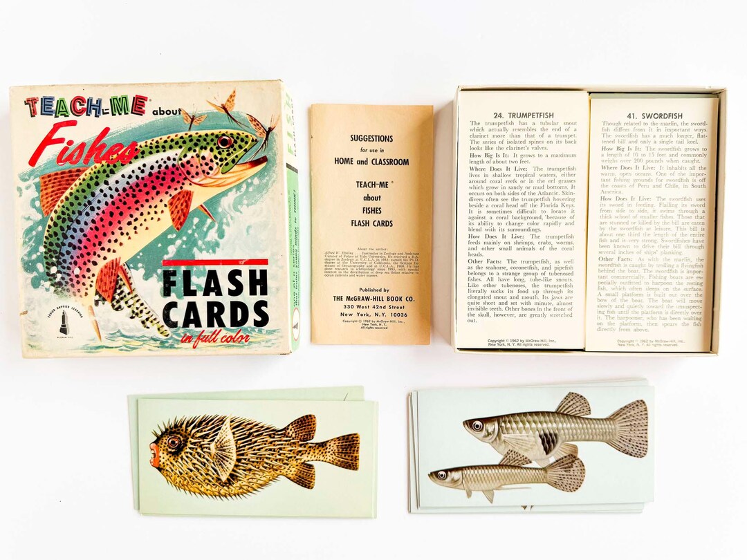 Vintage Fish Flash Cards - 1962 Mcgraw Hill - Complete Set of 48 - Etsy