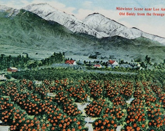 FREE SHIPPING: Vintage Souvenir Postcard - Midwinter Scene near Los Angeles, California - 1940s Unmailed Colorful Post Card