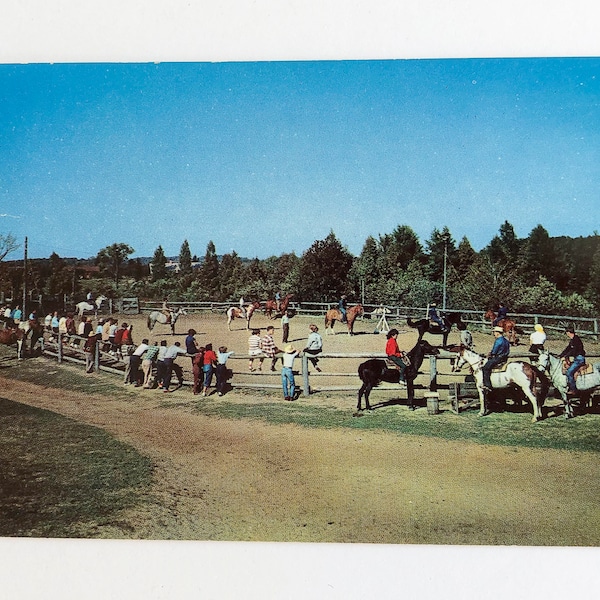 FREE SHIPPING: Actual Midcentury 1950s Photo Postcard - Jack and Jill Ranch, Rothbury,MI - Retro Color Michigan Postcard