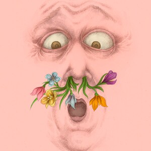 Spring surprise