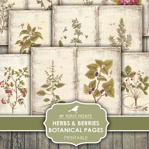 Junk Journal Pages, Botanical, Herbs, Berries, Flowers, Vintage, My Porch Prints, Field Guide, Plants, Printable, Paper, Digital Download