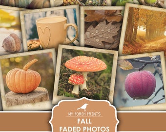 Photos, Faded, Fall, Junk Journal, Photographs, Bullet Journal, Autumn, Pumpkin, Mushroom, My Porch Prints, Printable, Digital Download