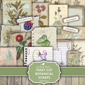 Botanical Fussy Cut Scraps, Junk Journal, Stickers, Bullet Journal, Ephemera, Cottagecore, My Porch Prints, Printable Digital Download