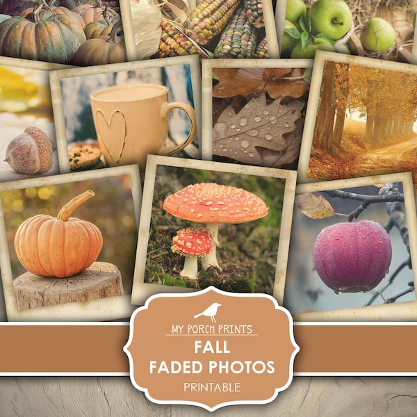 Photos, Faded, Fall, Junk Journal, Photographs, Bullet Journal, Autumn, Pumpkin, Mushroom, My Porch Prints, Printable, Digital Download