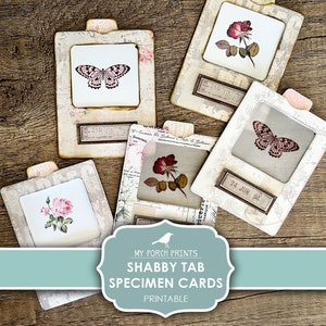 Junk Journal, Specimen Cards, Shabby, Tab, Roses, Butterflies, Clear, Transparent, Science, Printable, My Porch Prints, Digital Download
