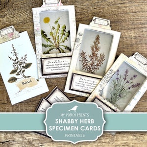 Junk Journal, Herb Specimen Cards, Shabby, Tab, Botanical, Apothecary, Clear, Transparent, Printable, My Porch Prints, Digital Download