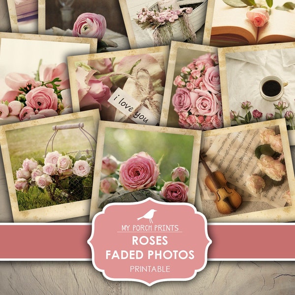 Photos, Faded, Roses, Junk Journal, Photographs, Pictures, Rose, Pink, Floral, Bullet Journal, My Porch Prints, Printable Digital Download