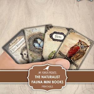 Mini Books, The Naturalist, Fauna, Junk Journal, Animals, Forest, Miniature, Woodland, Book, My Porch Prints, Printable, Digital Download
