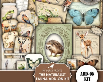Junk Journal, Naturalist, Fauna, Add On, Kit, Nature, Animals, Specimen, Botanical, Woodland, My Porch Prints, Printable, Digital Download