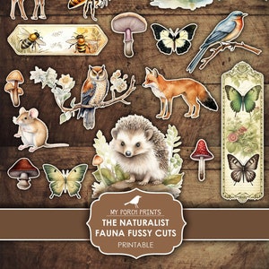 Junk Journal, Naturalist, Fauna, Fussy Cuts, Nature, Animals, Woodland, Cricut, Stickers, Bujo, Printable, My Porch Prints, Digital Download