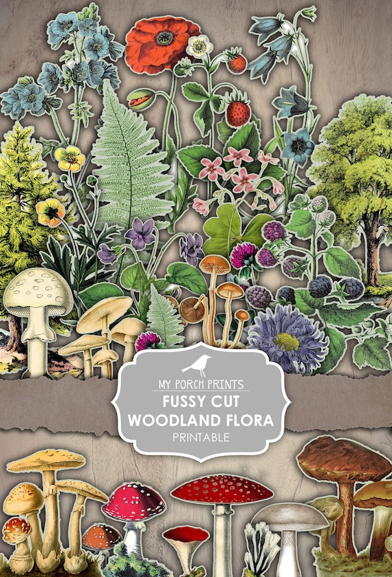 Junk Journal Kit, Fussy Cut, Woodland, Flora, Plants, Mushrooms, Ephemera, Printable, Cricut, Scan N Cut, My Porch Prints, Digital Download