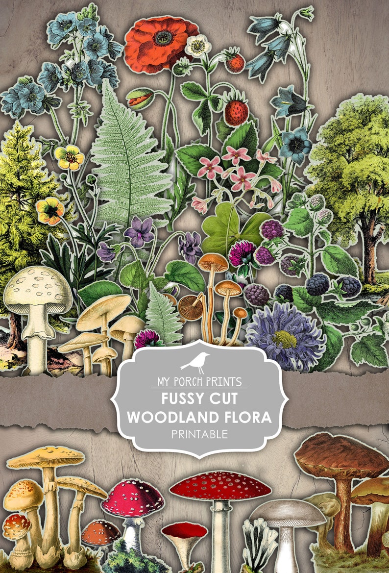 May include: A collage of vintage-style botanical illustrations featuring various flowers, mushrooms, and foliage. The image includes a vibrant red poppy, bluebells, and several types of mushrooms. Text on the image reads "My Porch Prints Fussy Cut Woodland Flora Printable."