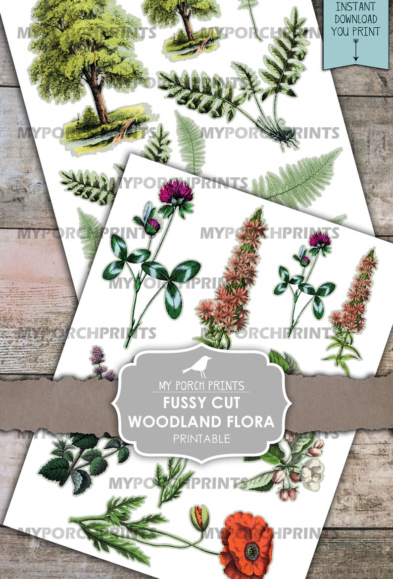 May include: A collection of botanical illustrations featuring trees, ferns, clovers, and other wildflowers. The images are printed on white paper and are labeled "Fussy Cut Woodland Flora Printable" with the text "Instant Download You Print".