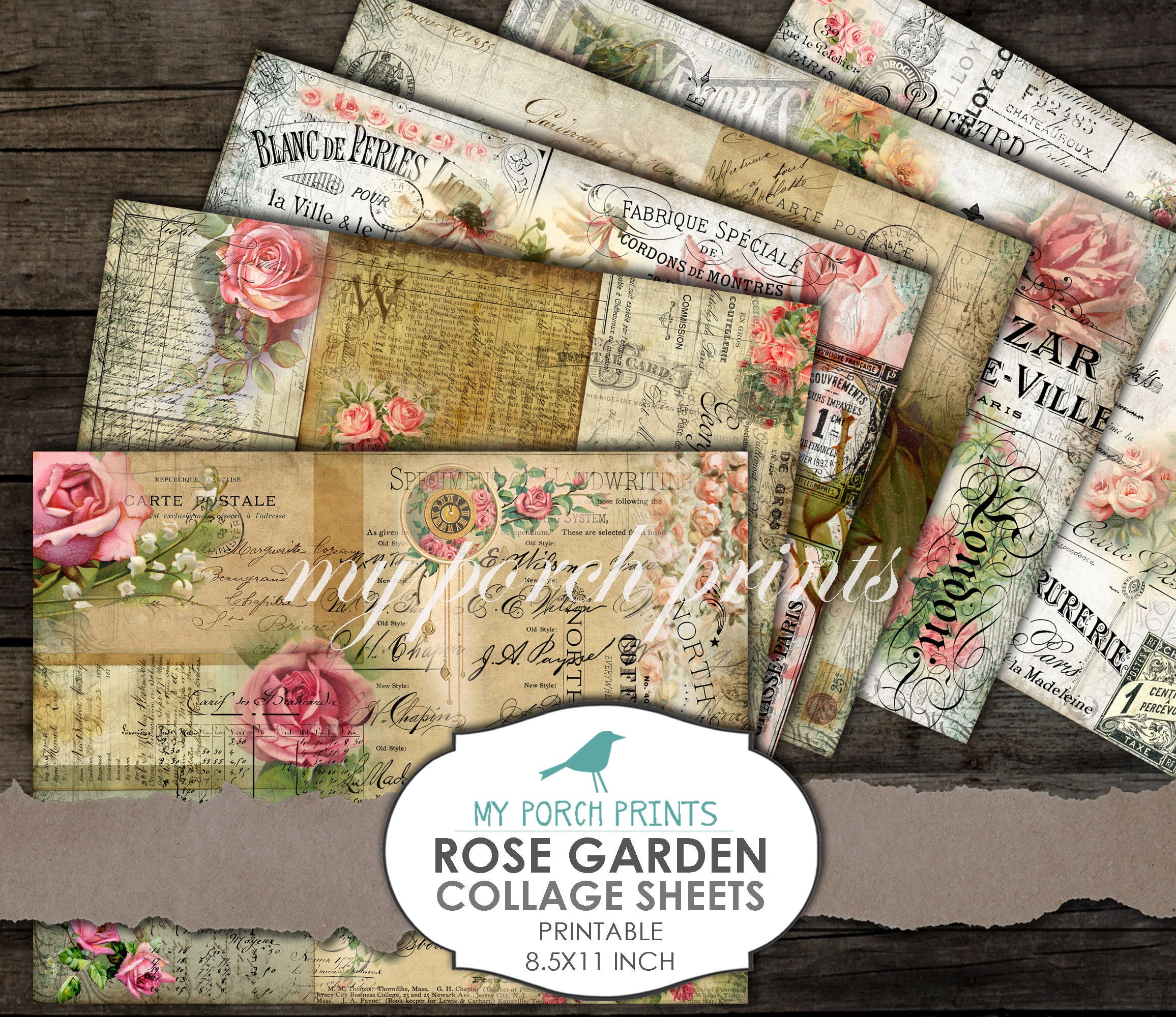 Digital collage sheet Printable Plant Art 8.5x11 inches Black and white botanical digital download Letter format print