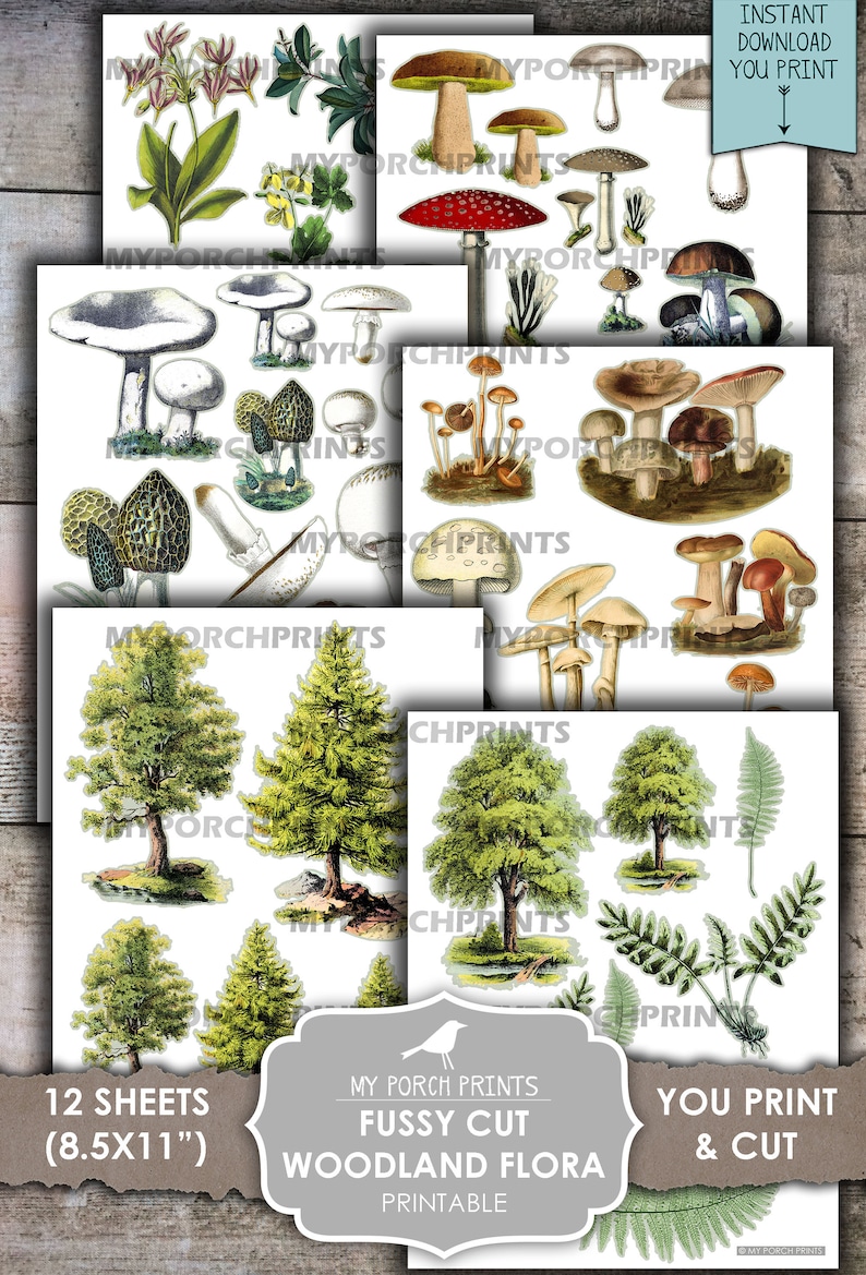 May include: A collection of printable woodland flora images, including mushrooms, trees, and ferns. The images are in a vintage style, with detailed illustrations of various plant species. The set includes 12 sheets, each measuring 8.5x11 inches.