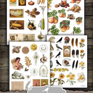 May include: Twelve printable sheets of fall harvest themed images, including pumpkins, pears, corn, sunflowers, and turkeys. Each sheet is 8.5 inches by 11 inches.