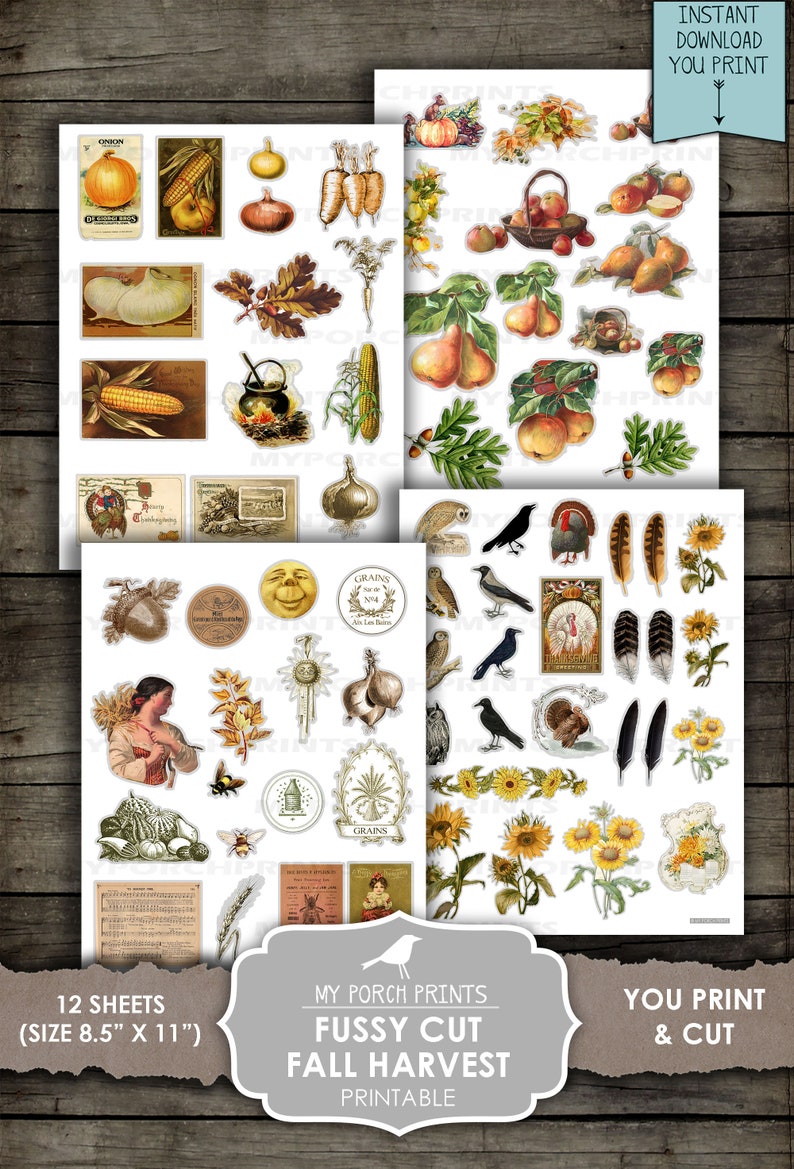 May include: Twelve printable sheets of fall harvest themed images, including pumpkins, pears, corn, sunflowers, and turkeys. Each sheet is 8.5 inches by 11 inches.