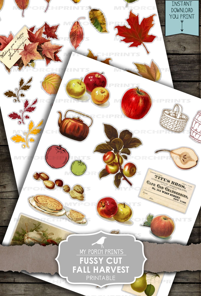May include: A set of printable fall harvest images for fussy cutting. The images include apples, pears, leaves, a teapot, a pie, nuts, and a basket of cranberries. The text "My Porch Prints Fussy Cut Fall Harvest Printable" is at the bottom of the image.