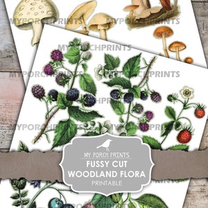 May include: Printable fussy cut woodland flora featuring illustrations of mushrooms, blackberries, strawberries, and other botanical elements. The image includes the text "Instant Download You Print" and "My Porch Prints".