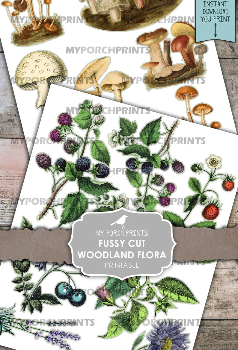 May include: Printable fussy cut woodland flora featuring illustrations of mushrooms, blackberries, strawberries, and other botanical elements. The image includes the text "Instant Download You Print" and "My Porch Prints".