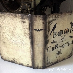 Puede incluir: Un libro de estilo vintage con una cubierta marr&oacute;n desgastada y un dise&ntilde;o de telara&ntilde;a en la parte delantera. La columna vertebral dice "Book of Curiosities" con ilustraciones de cuervo, murci&eacute;lago y ara&ntilde;a negros.