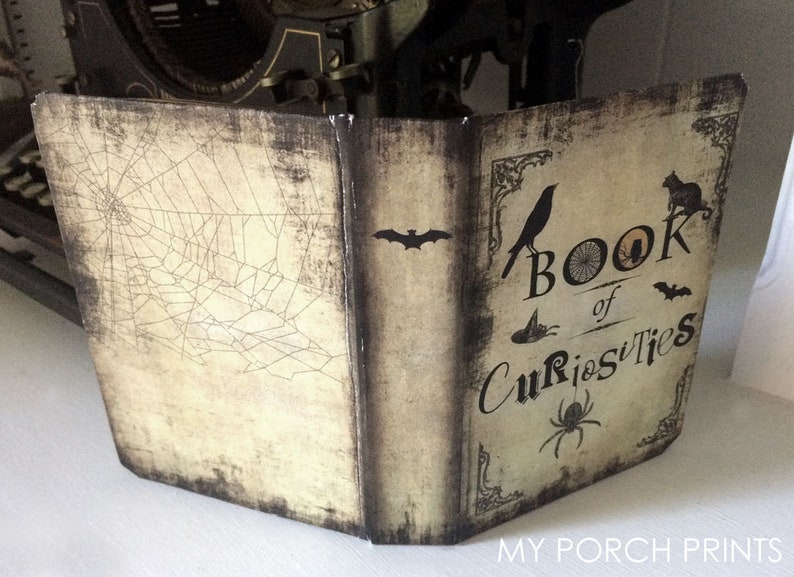 Puede incluir: Un libro de estilo vintage con una cubierta marr&oacute;n desgastada y un dise&ntilde;o de telara&ntilde;a en la parte delantera. La columna vertebral dice "Book of Curiosities" con ilustraciones de cuervo, murci&eacute;lago y ara&ntilde;a negros.