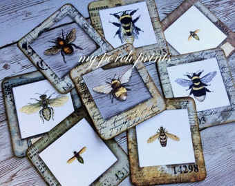 Busy Bee Specimen Cards, ATC, Junk Journal, Printable, Slide, Science, Ephemera, Embellishment, Vintage, Kit, Tag, Clear, Digital Download