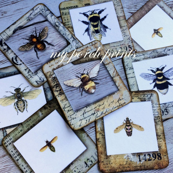 Busy Bee Specimen Cards, ATC, Junk Journal, Printable, Slide, Science, Ephemera, Embellishment, Vintage, Kit, Tag, Clear, Digital Download