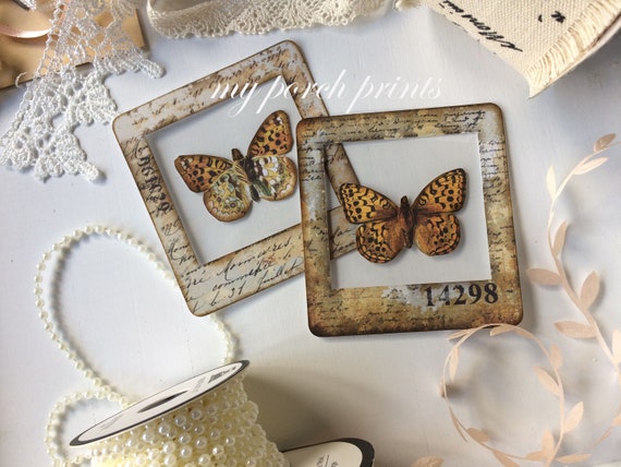 Butterfly Specimen Cards, ATC, Junk Journal, Craft Kit, Printable, Slide, Science, Ephemera, Embellishment, Clear, Digital Download