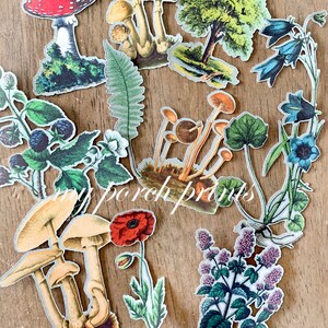 May include: Assortment of vintage-style paper cutouts featuring mushrooms, flowers, and foliage. The cutouts include a red and white spotted mushroom, various brown and tan mushrooms, a tree, and several floral and plant designs. The text "my porch prints" is visible.