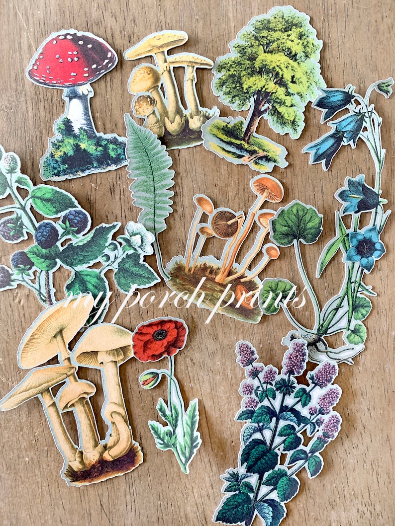 May include: Assortment of vintage-style paper cutouts featuring mushrooms, flowers, and foliage. The cutouts include a red and white spotted mushroom, various brown and tan mushrooms, a tree, and several floral and plant designs. The text "my porch prints" is visible.