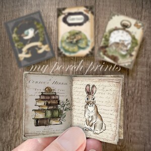 May include: A small, vintage-style book with a brown cover and white text that reads "A Curious Herbal". The book is open to reveal a page with an illustration of a stack of books and a rabbit. The text on the page is in a cursive script.