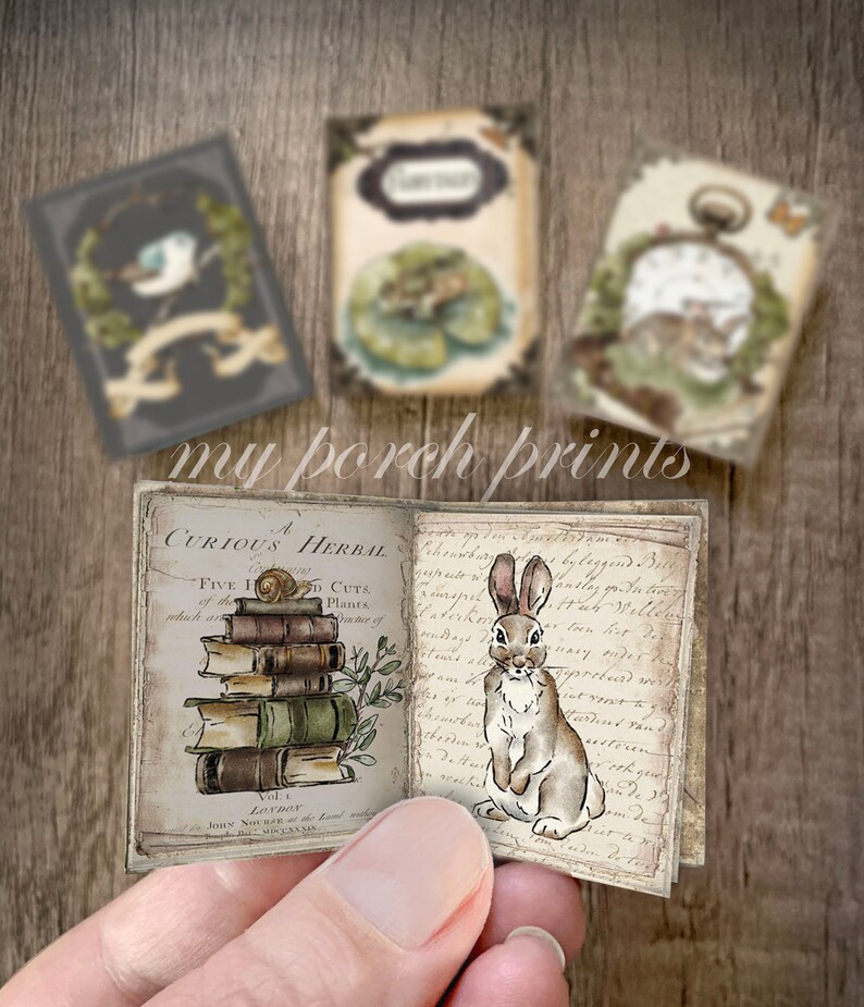 May include: A small, vintage-style book with a brown cover and white text that reads "A Curious Herbal". The book is open to reveal a page with an illustration of a stack of books and a rabbit. The text on the page is in a cursive script.