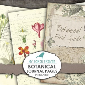 Botanical Junk Journal-pagina's, veldgids, Junk Journal Kit, Herb Lore, Ephemera, plakboek, afdrukbaar, vintage, tuin, digitale download