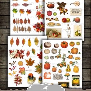 May include: Twelve printable sheets of fall harvest images for fussy cutting. The sheets include images of pumpkins, leaves, apples, and other fall-themed items. The sheets are 8.5 inches by 11 inches.