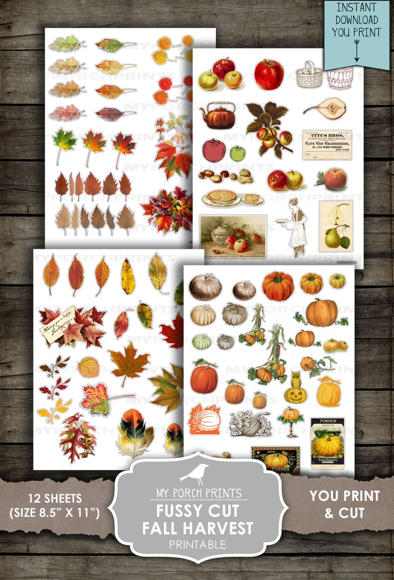 May include: Twelve printable sheets of fall harvest images for fussy cutting. The sheets include images of pumpkins, leaves, apples, and other fall-themed items. The sheets are 8.5 inches by 11 inches.