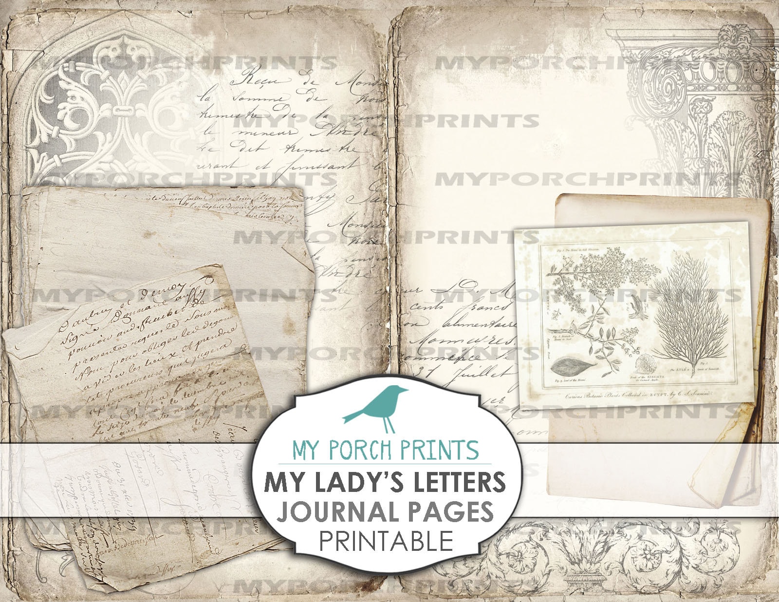 ジャンクジャーナル 『ロ』 Amazon.co.jp: ジャンクジャーナル