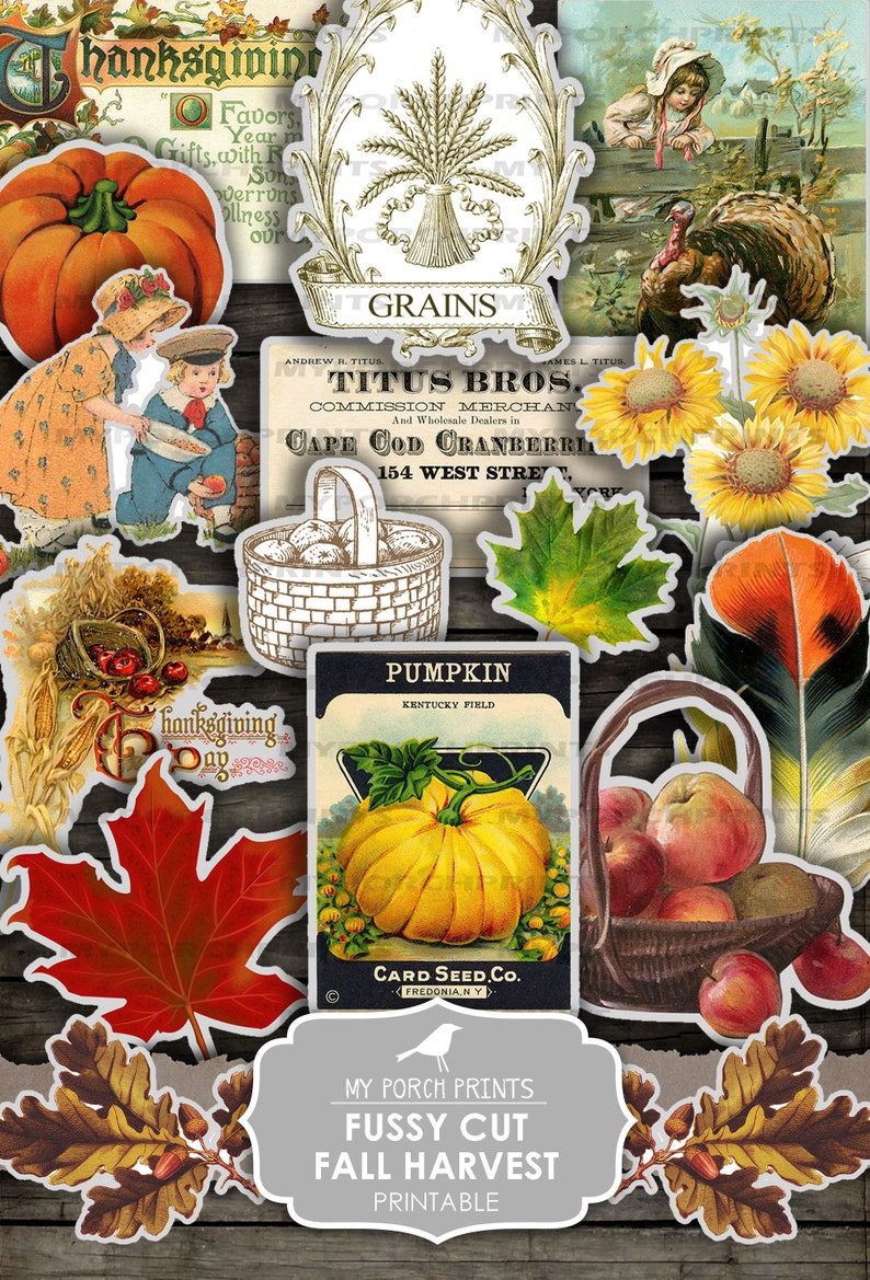 Junk Journal Kit, Fussy Cut, Fall, Autumn, Thanksgiving, Bullet Journal, Printable, Stickers, Cricut, My Porch Prints, Digital Download image 9