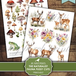 Junk Journal, Naturalist, Fauna, Fussy Cuts, Nature, Animals, Woodland, Cricut, Stickers, Bujo, Printable, My Porch Prints, Digital Download
