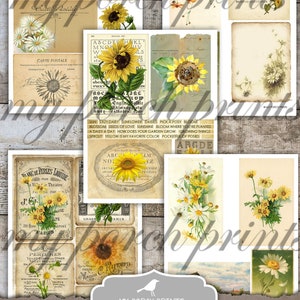 May include: Printable ephemera pack featuring vintage illustrations of sunflowers and daisies. The pack includes images of sunflowers, daisies, and text with the words "Sun", "Lazy Daisy", "Sunflower", "Daisies", "Pick a Posy", "Bloom", "Blossom", "Seeds of Love", "Sunshine", "Bloom Where You're Planted", "A Daisy a Day", "How Does Your Garden Grow", "Growing Things", "Sprout", "Yellow is My Favorite Color", "Pocketful of Posies", "ABCDEF HKL", "MNOP", "W", "stu", "LS", "5", "abcdel Ak", "vixy", "ABC", "ab", "Englis Bolhir", "jklmnopstu", "wury cathedral bor", "ARGDE", "Blanc de Perles Liquide", "Villa Theatre", "PIGE PAR", "A", "39 Rue", "ITE", "Marcel", "GRASS", "ARIS", "PEREUMES", "TOILET SOAPS OTHER", "TOILET REQUISITAS", "50", "VALMER", "PARIS", "MY PORCH PRINTS", "SUNFLOWERS & DAISIES", "EPHEMERA PACK", "PRINTABLE".