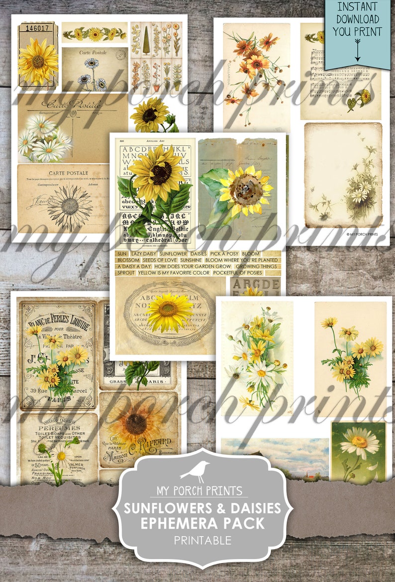 May include: Printable ephemera pack featuring vintage illustrations of sunflowers and daisies. The pack includes images of sunflowers, daisies, and text with the words "Sun", "Lazy Daisy", "Sunflower", "Daisies", "Pick a Posy", "Bloom", "Blossom", "Seeds of Love", "Sunshine", "Bloom Where You're Planted", "A Daisy a Day", "How Does Your Garden Grow", "Growing Things", "Sprout", "Yellow is My Favorite Color", "Pocketful of Posies", "ABCDEF HKL", "MNOP", "W", "stu", "LS", "5", "abcdel Ak", "vixy", "ABC", "ab", "Englis Bolhir", "jklmnopstu", "wury cathedral bor", "ARGDE", "Blanc de Perles Liquide", "Villa Theatre", "PIGE PAR", "A", "39 Rue", "ITE", "Marcel", "GRASS", "ARIS", "PEREUMES", "TOILET SOAPS OTHER", "TOILET REQUISITAS", "50", "VALMER", "PARIS", "MY PORCH PRINTS", "SUNFLOWERS & DAISIES", "EPHEMERA PACK", "PRINTABLE".