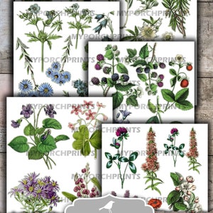 May include: A collection of 12 printable sheets featuring vintage botanical illustrations of woodland flora. The images include various flowers, berries, and foliage, with the text "Fussy Cut Woodland Flora Printable" and "You Print & Cut". Each sheet measures 8.5x11 inches.