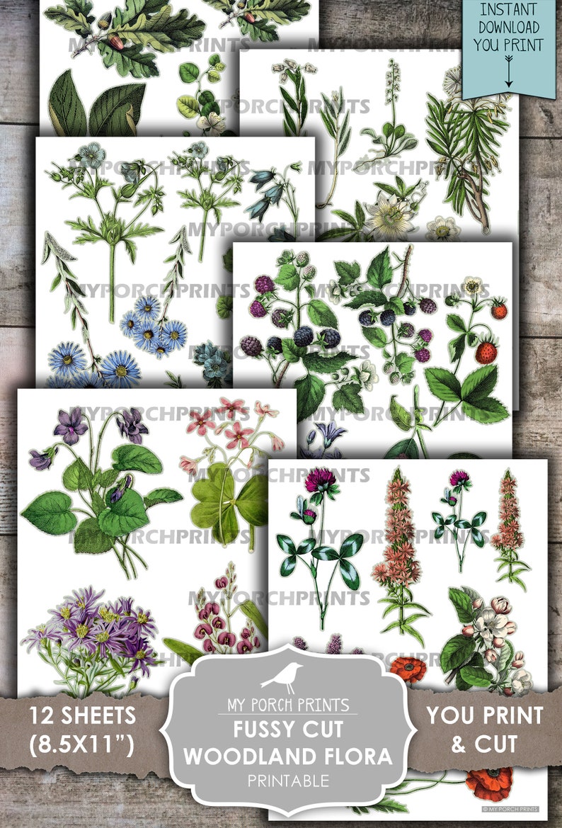May include: A collection of 12 printable sheets featuring vintage botanical illustrations of woodland flora. The images include various flowers, berries, and foliage, with the text "Fussy Cut Woodland Flora Printable" and "You Print & Cut". Each sheet measures 8.5x11 inches.