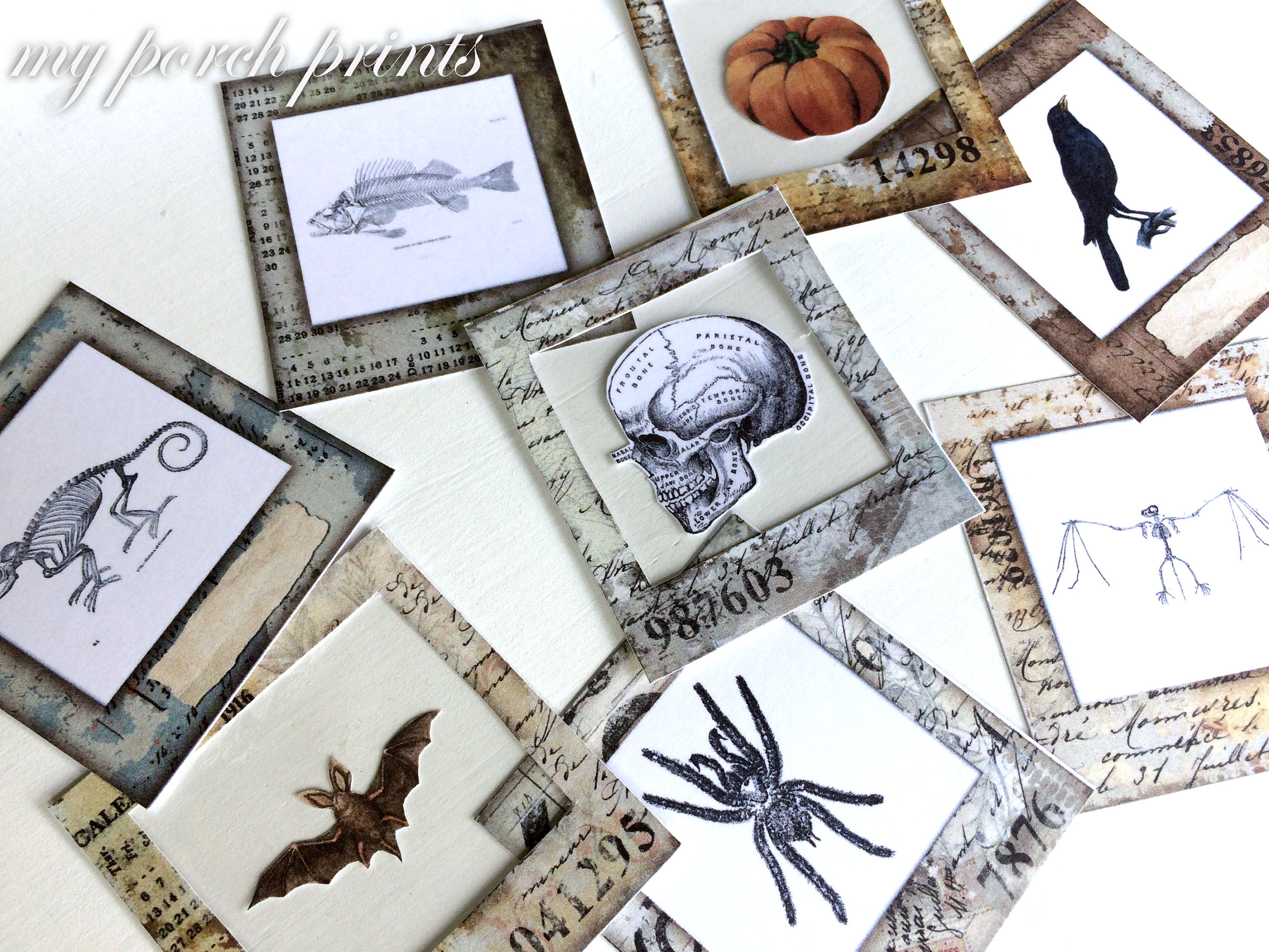Halloween Specimen Cards Junk Journal Printable Slide - Etsy