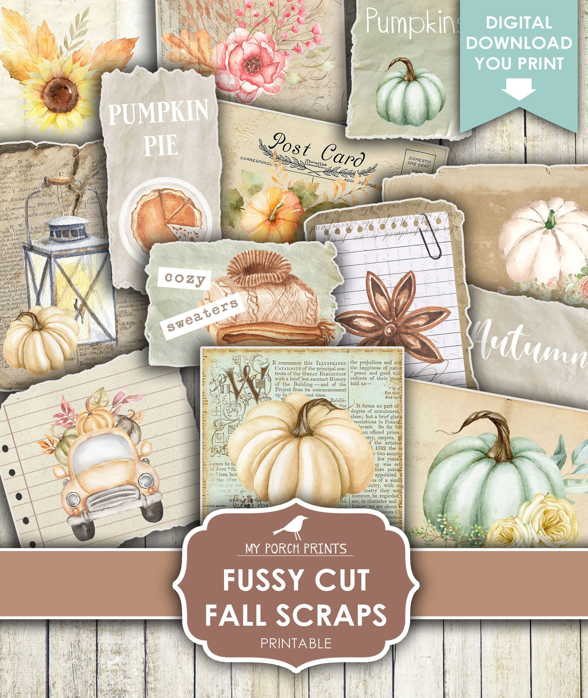 Fussy Cut Fall Scraps, Autumn, Note, Junk Journal, Stickers, Bullet Journal, Pumpkins, Planner, My Porch Prints, Printable Digital Download