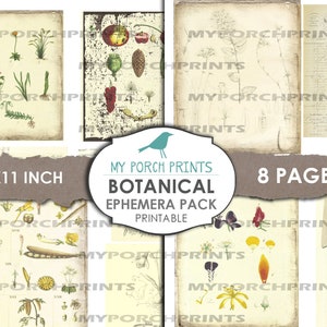 Botanical Ephemera Pack, Junk Journal Ephemera, Postcard, Collage Sheet ...